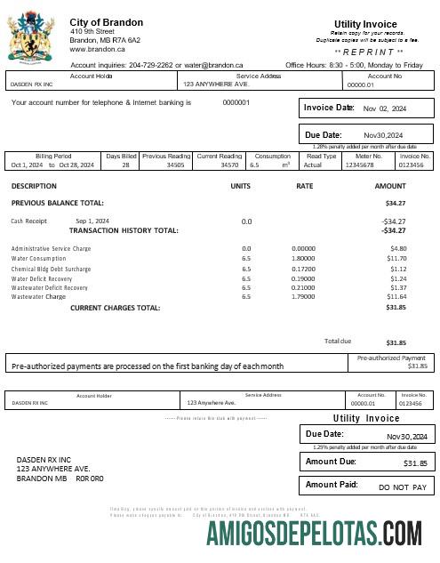 Dapat Diedit AS BRANDON MISSISSIPPI bisnis Tagihan Tagihan Word and PDF templat