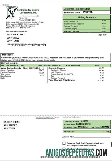 Premium AS CENTRAL VALLEY ELECTRIC bisnis Tagihan Tagihan Word and PDF templat