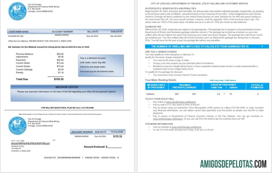 Realistis AS CITY OF CHICAGO bisnis Tagihan Tagihan Word and PDF templat