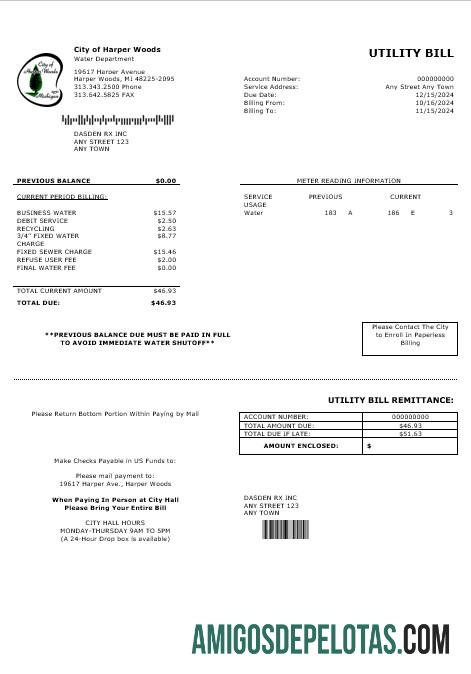Profesional AS CITY OF HARPER WOODS bisnis Tagihan Tagihan Word and PDF templat