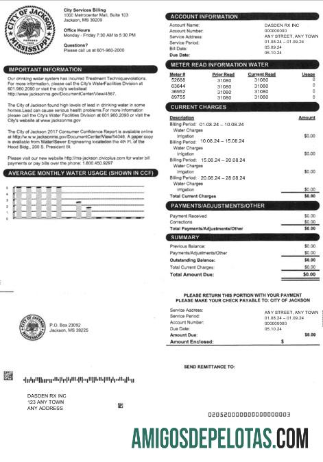 Realistis AS CITY OF JACKSON bisnis Tagihan Tagihan Word and PDF templat