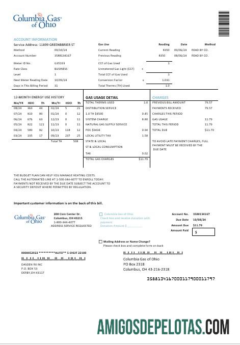 Profesional AS Columbia Gas of Ohio bisnis Tagihan Tagihan templat in Word and PDF format