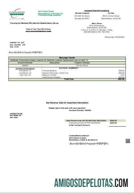 Profesional AS Consumers Energy bisnis Tagihan Tagihan templat in Word and PDF format