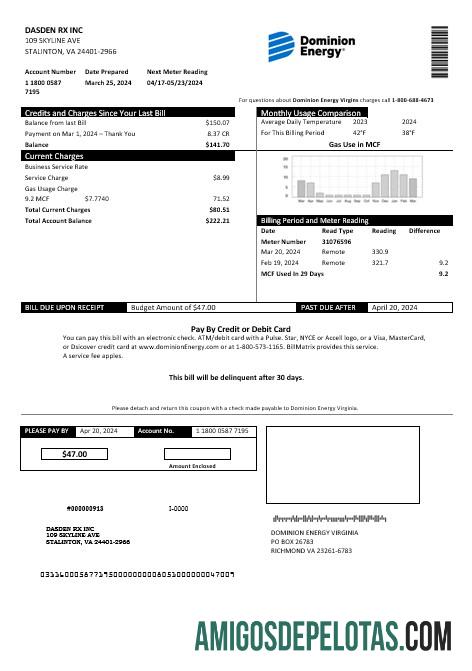 Berkualitas AS Dominion Energy bisnis Tagihan Tagihan templat in Word and PDF format