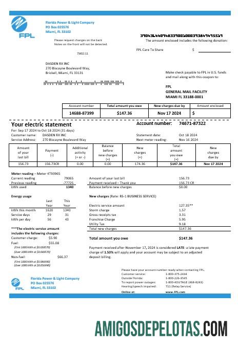 Profesional AS Florida Power & Light Perusahaan (FPL) Listrik bisnis Tagihan Tagihan templat in Word and PDF format