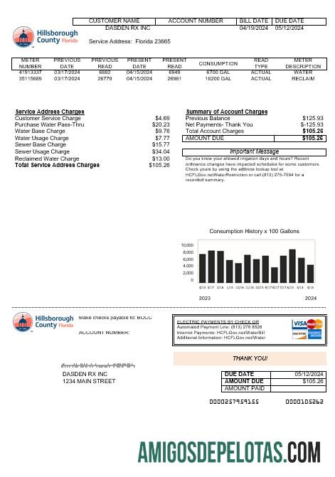 Premium AS Hillsborough County bisnis Tagihan Tagihan templat in Word and PDF format