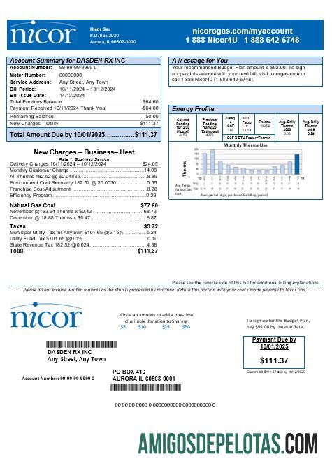 Berkualitas AS Illinois Nicor Gas bisnis Tagihan Tagihan templat in Word and PDF format