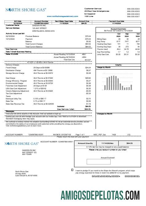 Berkualitas AS Illinois North Shore Gas bisnis Tagihan Tagihan templat in Word and PDF format