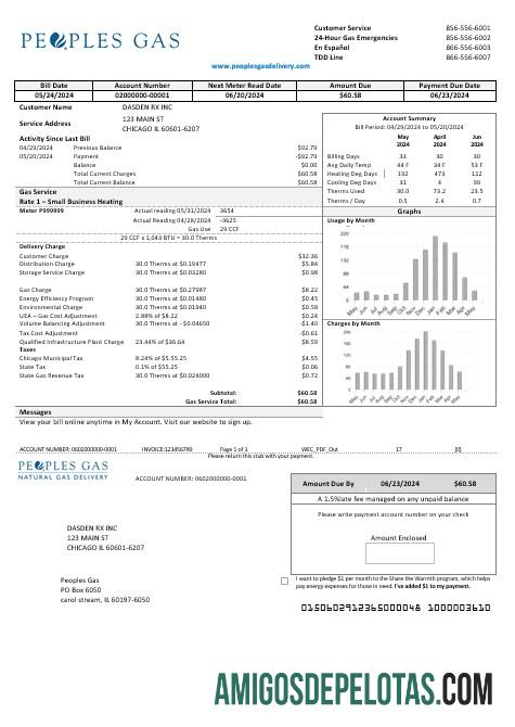 Realistis AS Illinois Peoples Gas bisnis Tagihan Tagihan templat in Word and PDF format