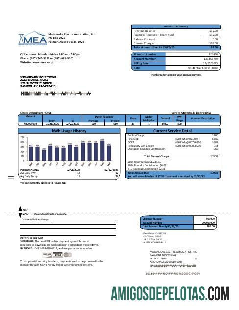 Profesional AS MEA Alaska Listrik bisnis Tagihan Tagihan templat in Word and PDF format