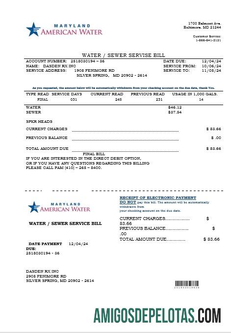 Profesional AS Maryland American Air bisnis Tagihan Tagihan templat in Word and PDF format
