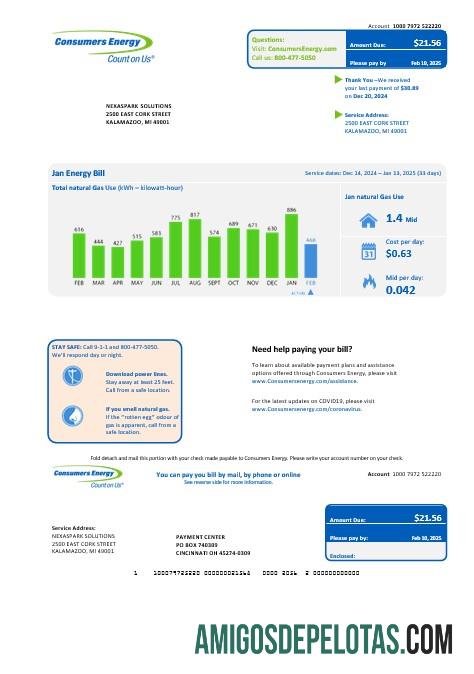 Dapat Diedit AS Michigan Consumers Energy bisnis Tagihan Tagihan templat in Word and PDF format
