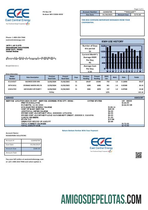 Realistis AS Minnesota East Central Energy bisnis Tagihan Tagihan templat in Word and PDF format