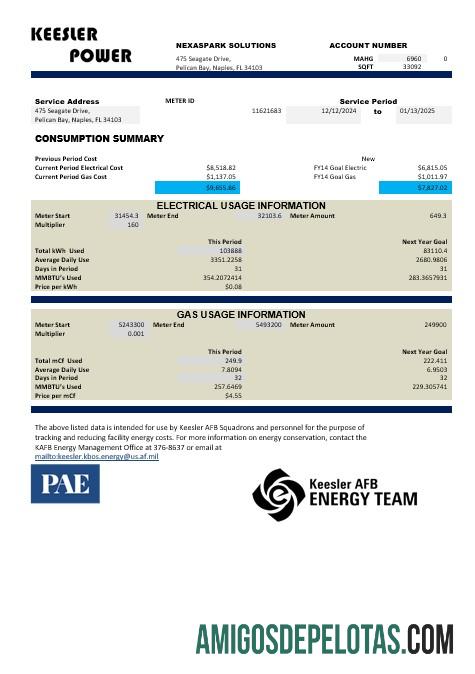 Realistis AS Mississippi Keesler AFB Energy bisnis Tagihan Tagihan templat in Word and PDF format