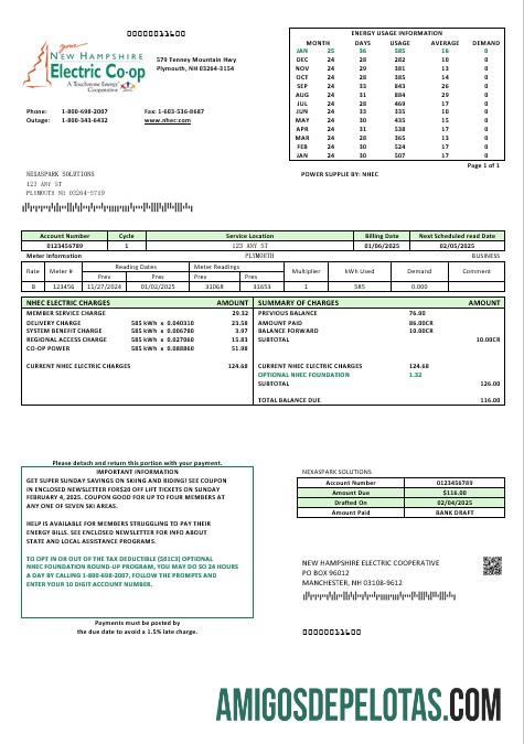 Berkualitas AS Baru Hampshire Electric Co op Listrik bisnis Tagihan Tagihan templat in Word and PDF format