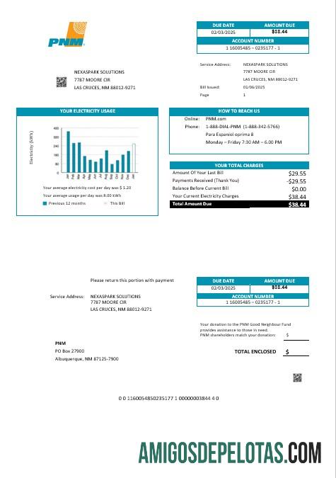 Berkualitas AS Baru Meksiko PNM easy fillable bisnis Tagihan Tagihan templat in Word and PDF format