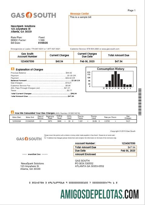 Profesional AS Baru York Gas South bisnis Tagihan Tagihan templat in Word and PDF format