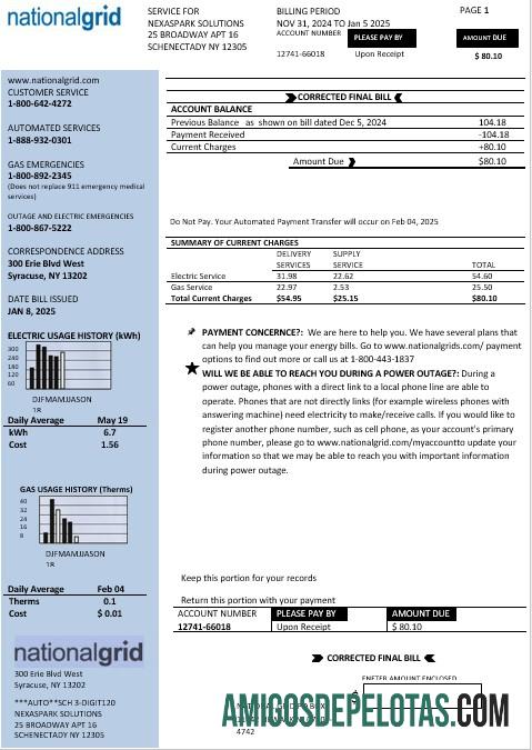 Realistis AS Baru York nasional Kisi bisnis Tagihan Tagihan templat in Word and PDF format