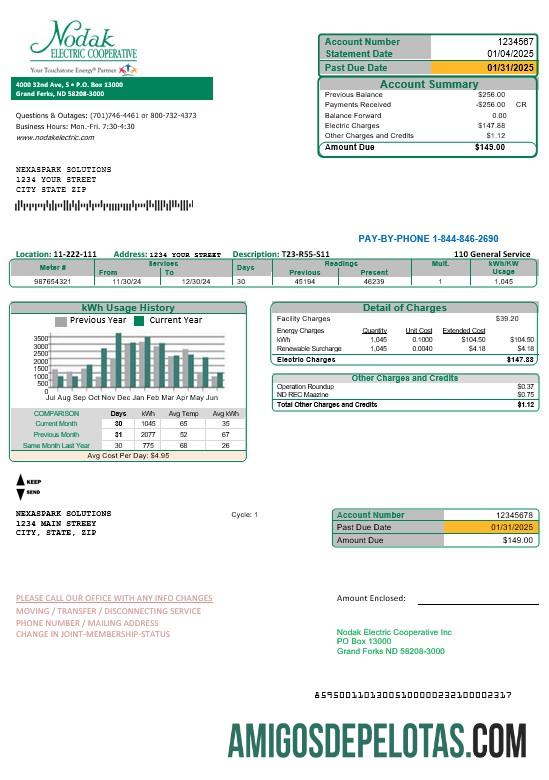 Realistis AS North Dakota Nodak Electric Cooperative bisnis Tagihan Tagihan templat in Word and PDF format