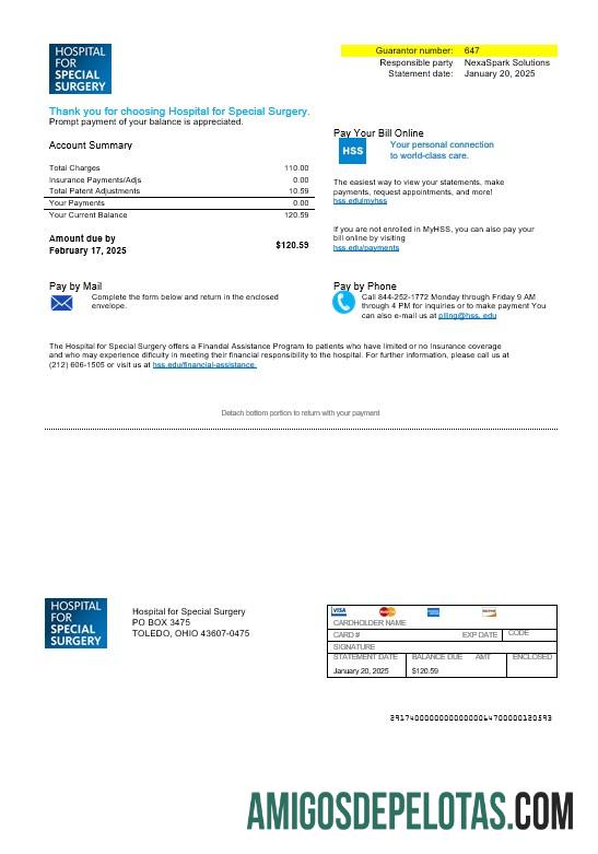 Premium AS Ohio Hospital For Special Surgery bisnis Tagihan Tagihan templat in Word and PDF format