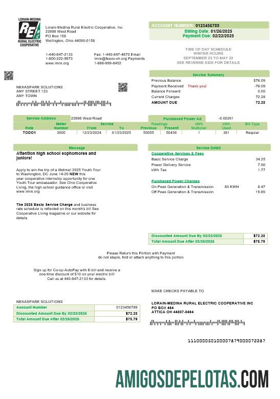 Realistis AS Ohio Lorain Medina Rural Electric bisnis Tagihan Tagihan templat in Word and PDF format