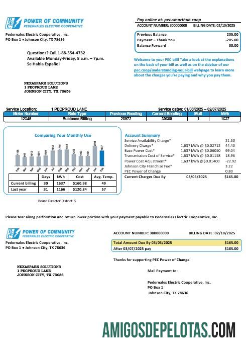AS Texas Power of Community Listrik bisnis Tagihan Tagihan in Word and PDF format, good for address prove desain