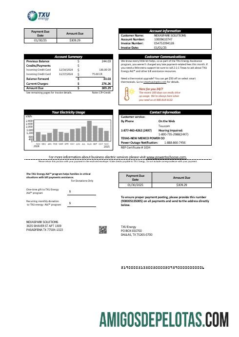 Berkualitas AS Texas TXU Energy bisnis Tagihan Tagihan templat in Word and PDF format