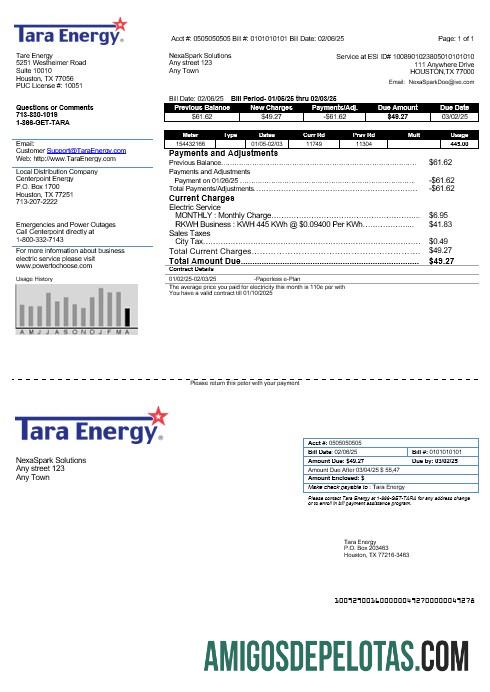 Profesional AS Texas Tara Energy bisnis Tagihan Tagihan templat in Word and PDF format
