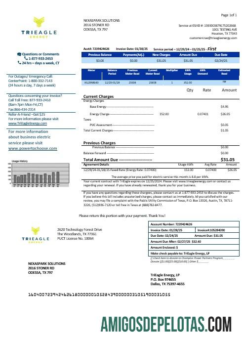 Dapat Diedit AS Texas TriEagle bisnis Tagihan Tagihan templat in Word and PDF format