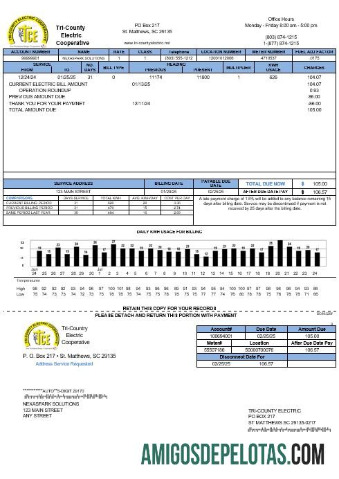 Premium AS Tri County Electric Cooperative bisnis Tagihan Tagihan templat in Word and PDF format