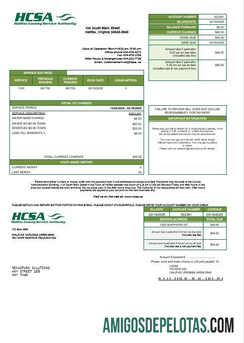 Premium AS Virginia HCSA bisnis Tagihan Tagihan templat in Word and PDF format
