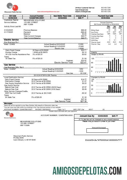 Premium AS WPS bisnis Tagihan Tagihan templat in Word and PDF format