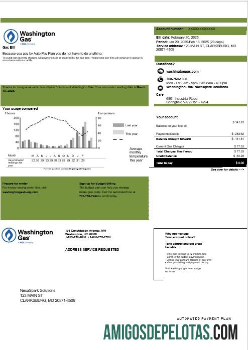 Berkualitas AS Washington Gas (WGL) bisnis Tagihan Tagihan templat in Word and PDF format