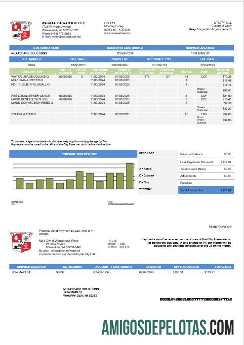 Premium AS Wawatosa Air Tagihan bisnis Tagihan Tagihan templat in Word and PDF format