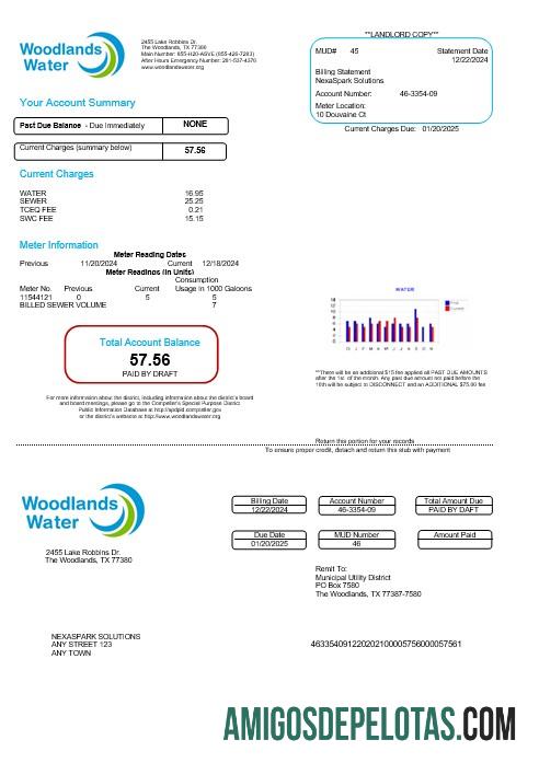 Premium AS Woodlands Air bisnis Tagihan Tagihan Word and PDF templat