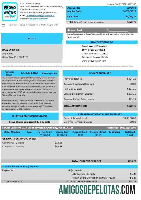 Premium Inggris Raya Turks and Caicos Islands Provo Air Perusahaan bisnis Tagihan Tagihan Word and PDF templat