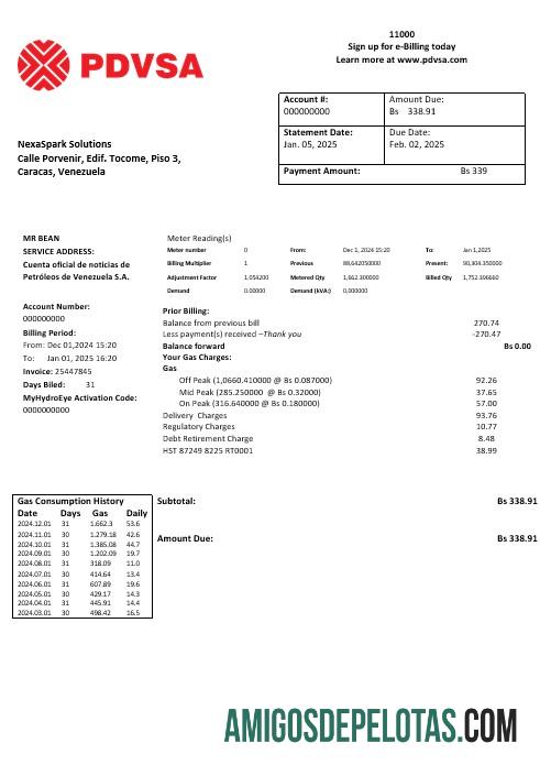 Berkualitas Venezuela PDVSA Gas bisnis Tagihan Tagihan templat in Word and PDF format