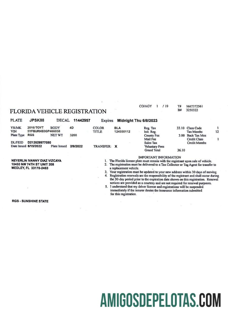 AS Florida vehicle pendaftaran lisensi desain