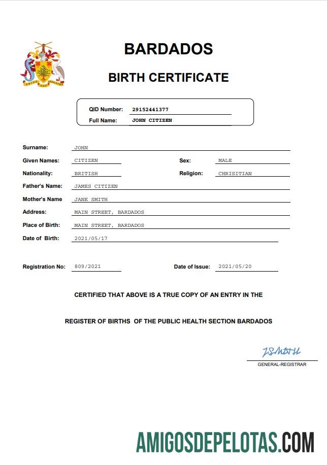 Profesional Barbados kelahiran sertifikat templat in Word and PDF