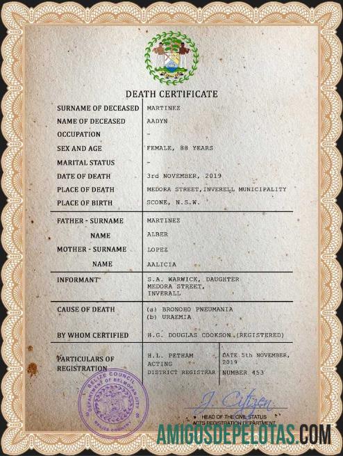 Dapat Diedit Belize kematian sertifikat PSD templat