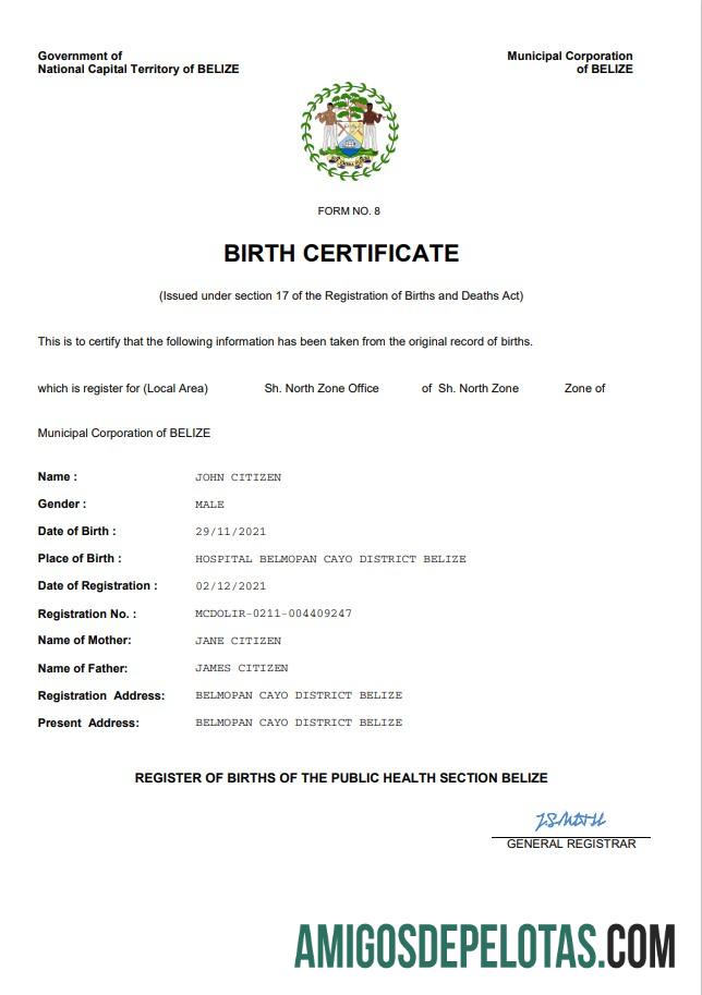 Dapat Diedit Belize vital record kelahiran sertifikat Word and PDF templat