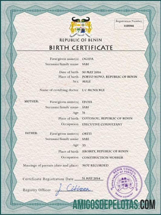 Profesional Benin vital record kelahiran sertifikat PSD templat