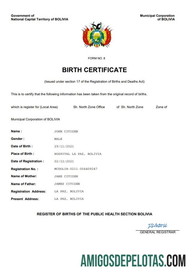 Realistis Bolivia vital record kelahiran sertifikat Word and PDF templat