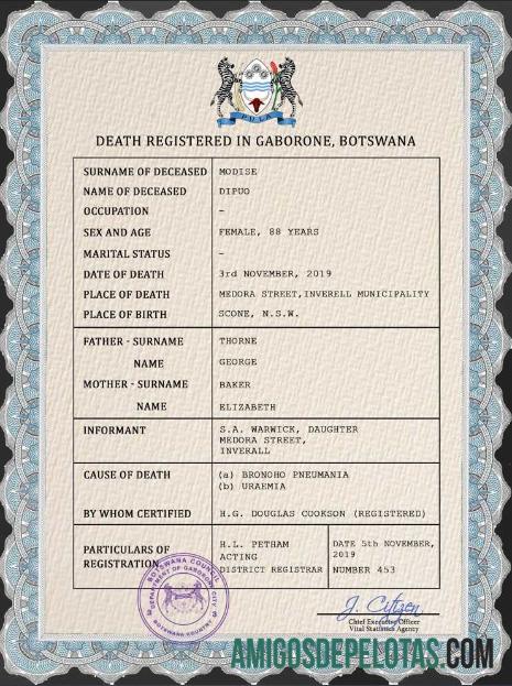 Realistis Botswana vital record kematian sertifikat PSD templat