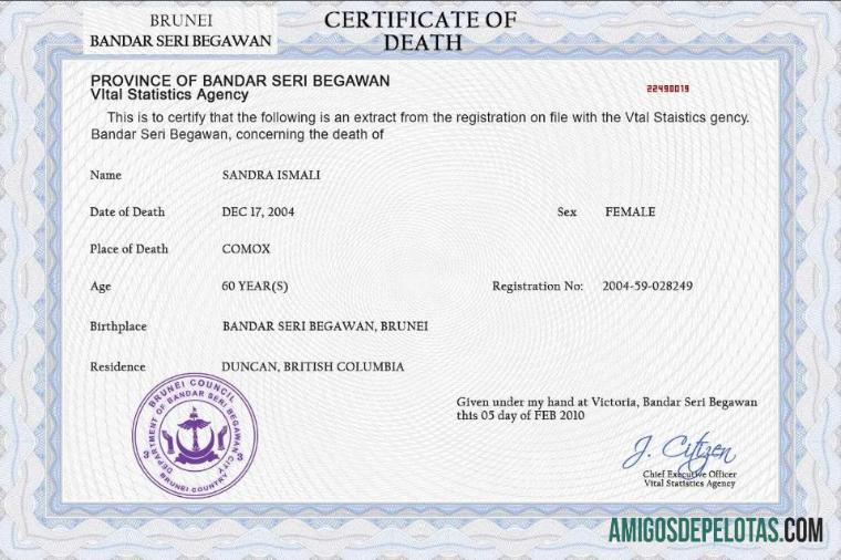 Profesional Brunei vital record kematian sertifikat PSD templat