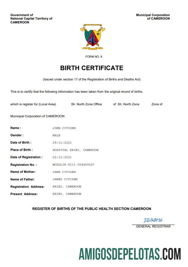 Premium Kamerun vital record kelahiran sertifikat Word and PDF templat