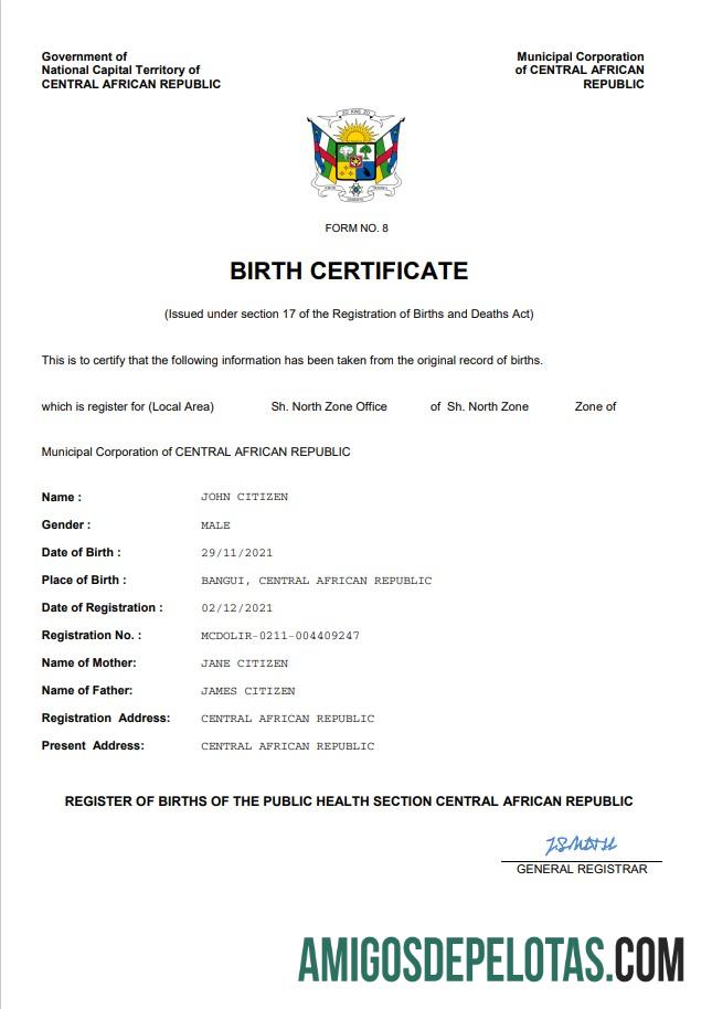 Realistis Republik Afrika Tengah vital record kelahiran sertifikat Word and PDF templat