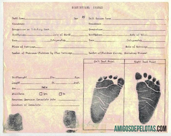 sertifikat of kelahiran statistical record sampel
