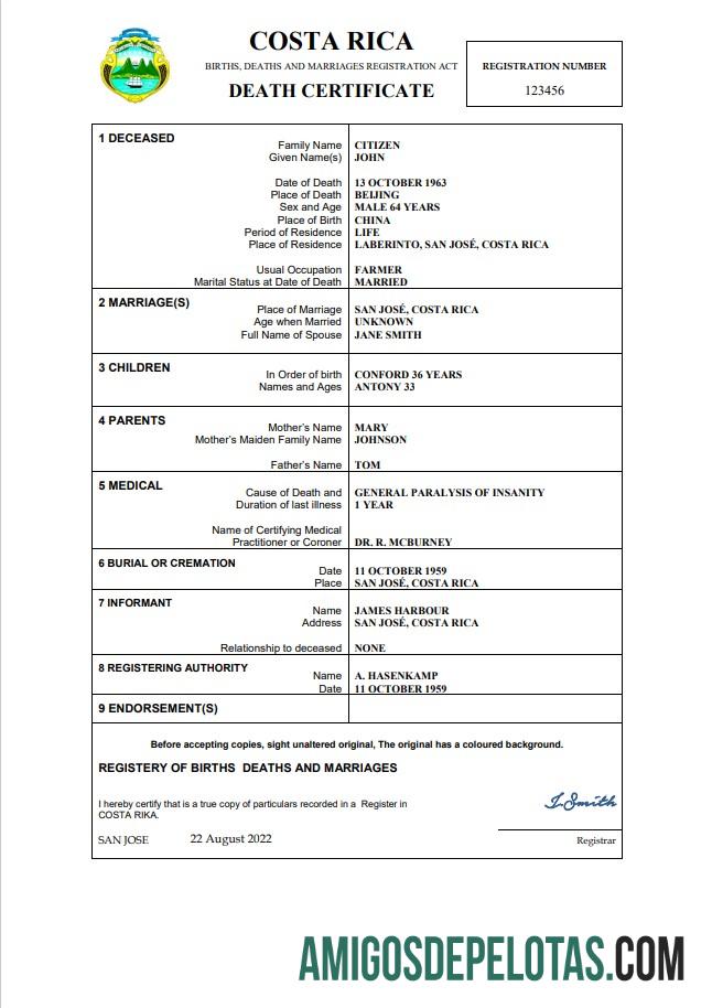 Profesional Kosta Rika vital record kematian sertifikat Word and PDF templat