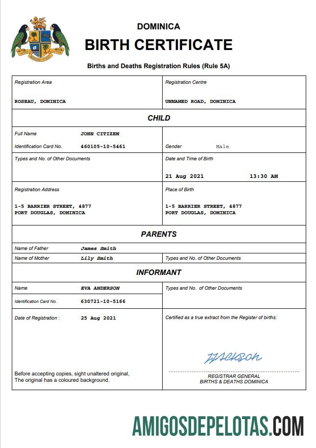 Profesional Dominika vital record kelahiran sertifikat Word and PDF templat